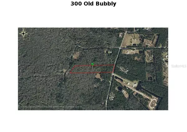 300 OLD BUBBLY RD, Pierson, FL 32180