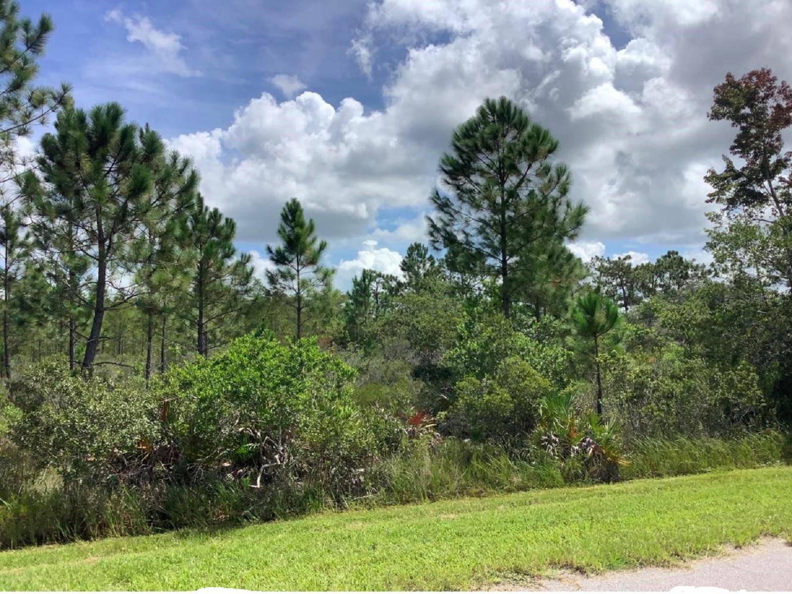 23382 TEX WHEELER AVE,  Christmas,  FL 32709