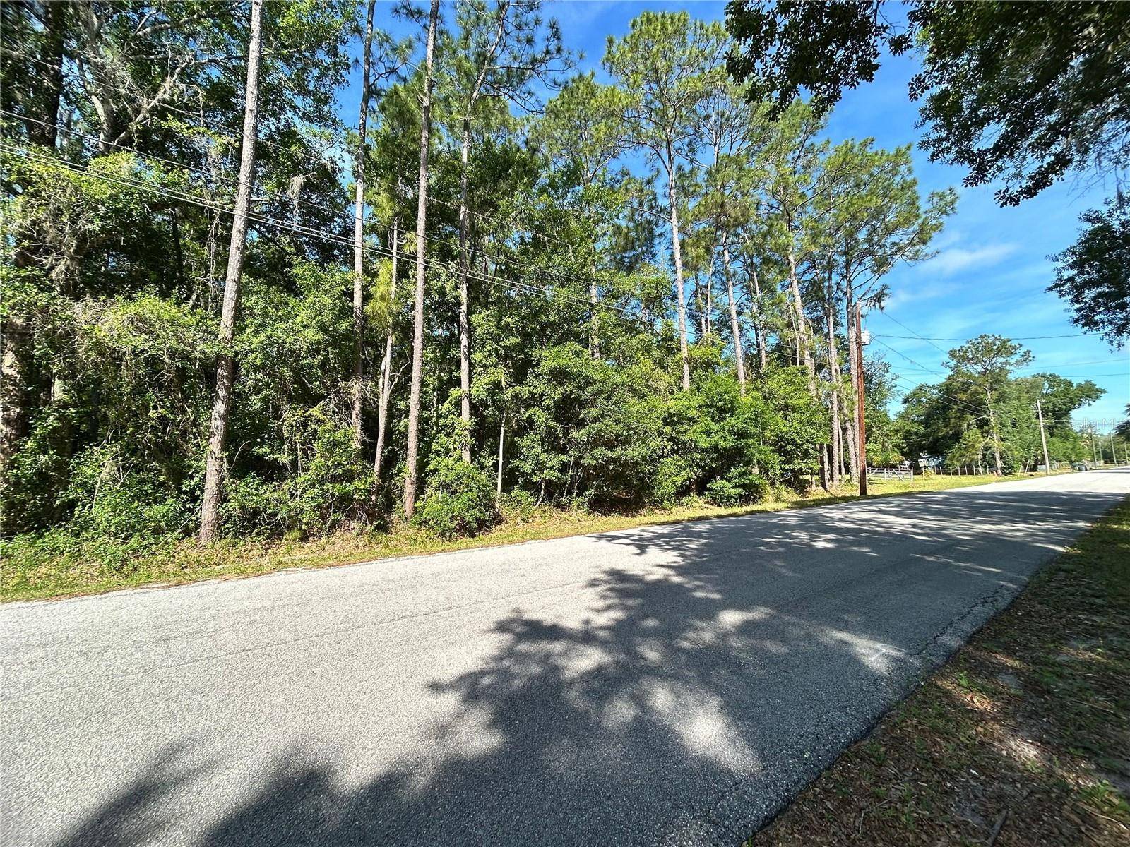Lakeland, FL 33809,TRAILSWOOD PATH