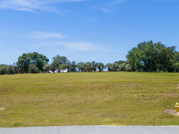 Groveland, FL 34736,LOT 64 ROYAL PALM DR