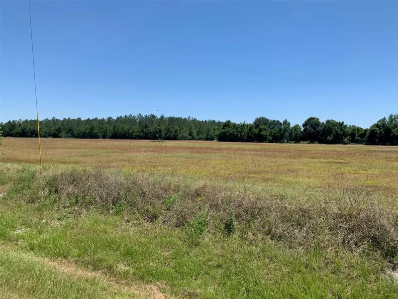 CR 478A #Lot 4, Webster, FL 33597