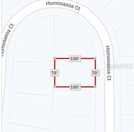 1314 HOMOSASSA CT, Kissimmee, FL 34759