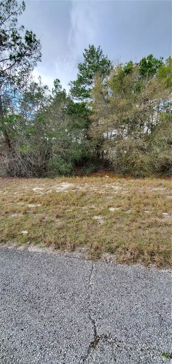 Poinciana, FL 34759,1428 HILLSBOROUGH DR