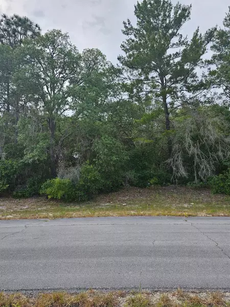 LOT 13 SW 145TH PLACE RD, Dunnellon, FL 34432