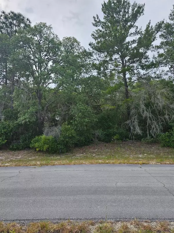 Dunnellon, FL 34432,LOT 13 SW 145TH PLACE RD