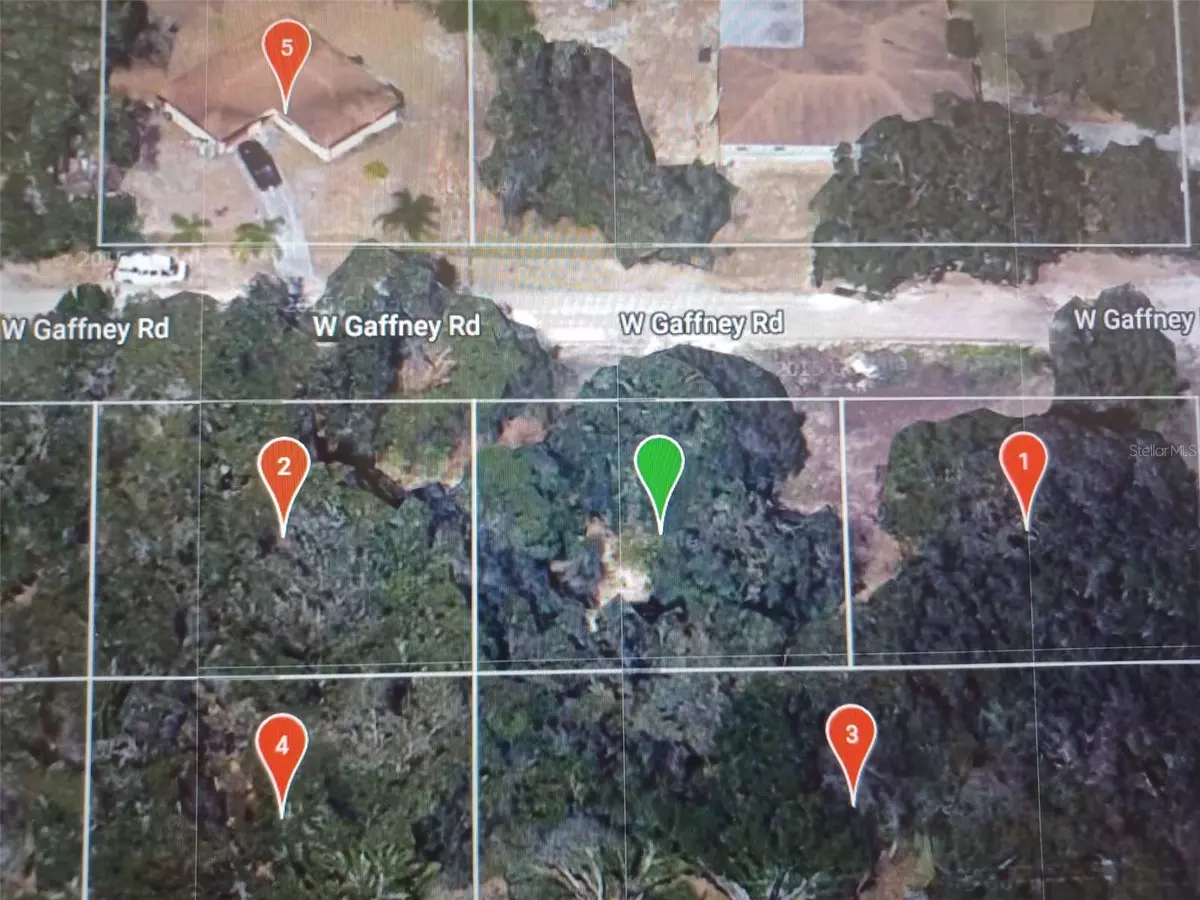 Avon Park, FL 33825,2705 W GAFFNEY RD