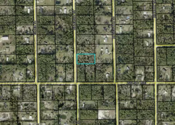 Bunnell, FL 32110,1881 HAZELNUT ST