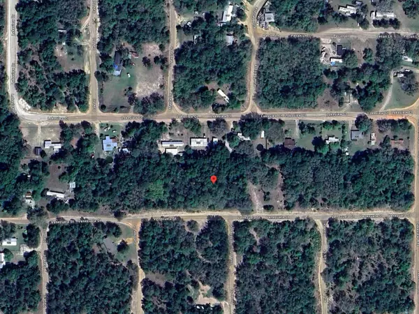 116 VENEZUELA ST, Interlachen, FL 32148