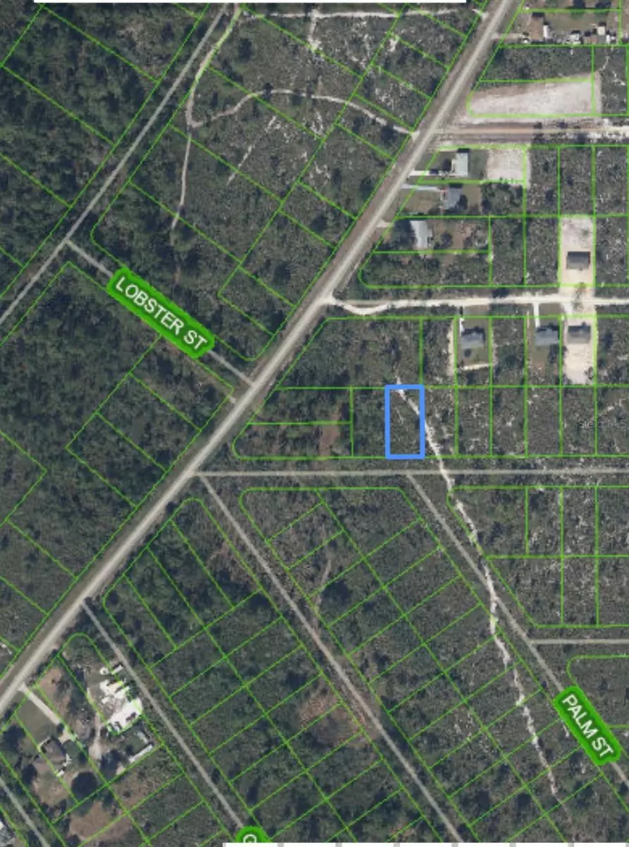 Lake Placid, FL 33852,1394 GOLDFINCH ST