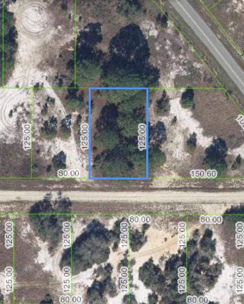 336 SWEETHEART AVE, Lake Placid, FL 33852