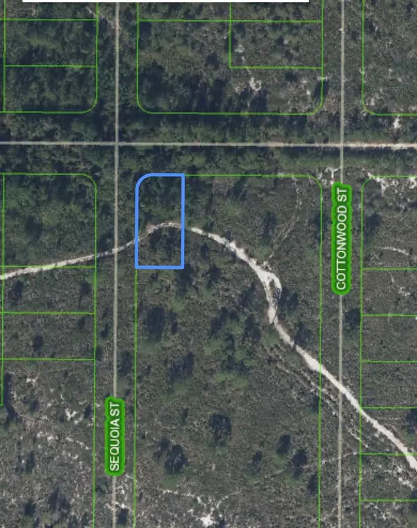 Lake Placid, FL 33852,820 WASHINGTON BLVD