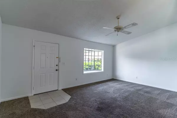 New Smyrna Beach, FL 32168,17 PUTTER LN