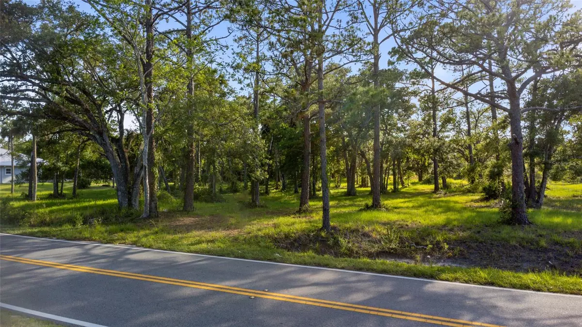 New Smyrna Beach, FL 32168,1172 WILLIAMS RD