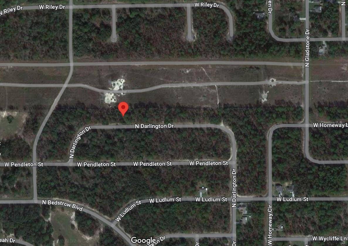 Dunnellon, FL 34434,6761 N DARLINGTON DR