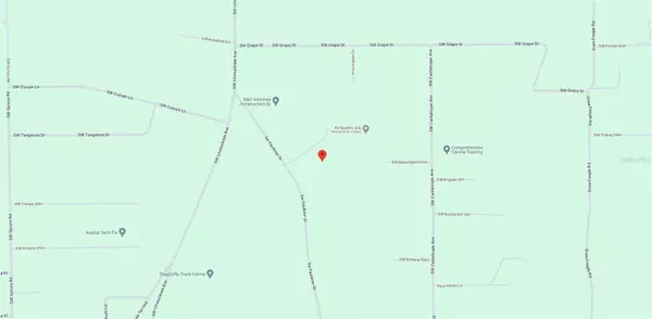 Fort White, FL 32038,1381 SW FAULKNER DR