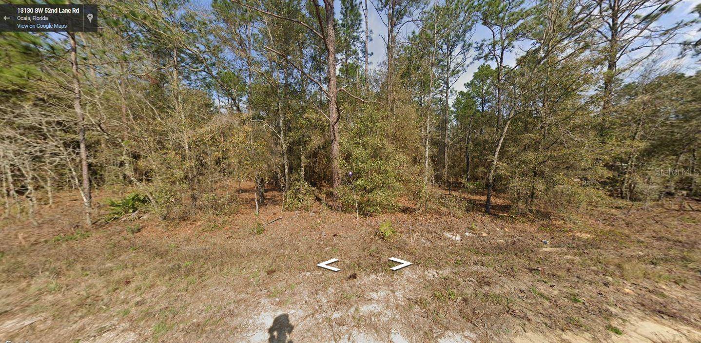 SW 52 LANE ROAD, Ocala, FL 34481