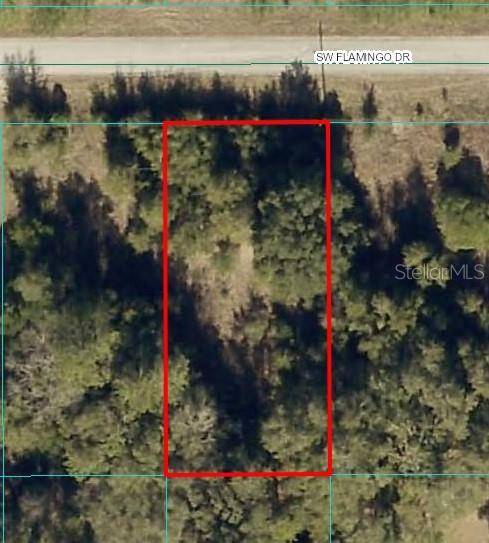 SW FLAMINGO DR, Dunnellon, FL 34431