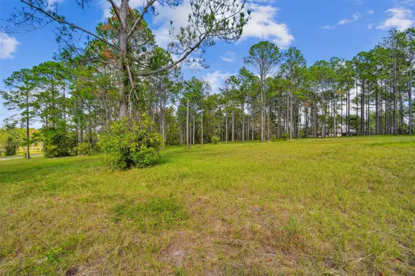 Eustis, FL 32736,35408 PINEGATE TRL