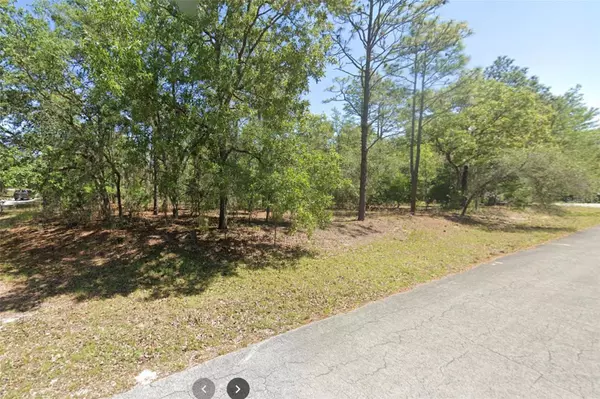 Dunnellon, FL 34431,21085 SW 87TH PL