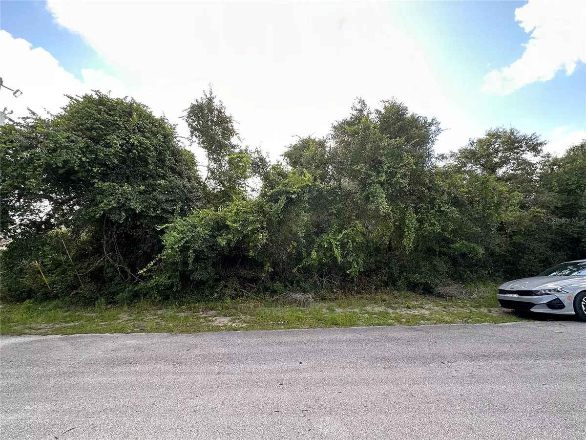Ocala, FL 34473,SW 153RD LOOP
