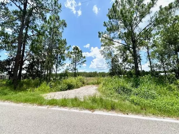 Polk City, FL 33868,SWEET HILL RD