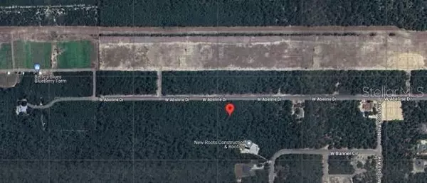 Citrus Springs, FL 34433,4502 W ABELINE DR