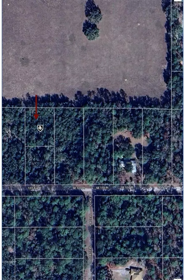 Dunnellon, FL 34431,SE 110TH PL