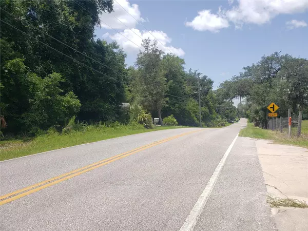 De Leon Springs, FL 32130,REYNOLDS RD