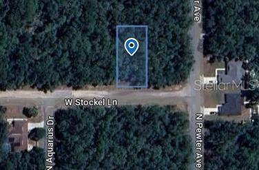 29 W STOCKEL LN,  Citrus Springs,  FL 34434