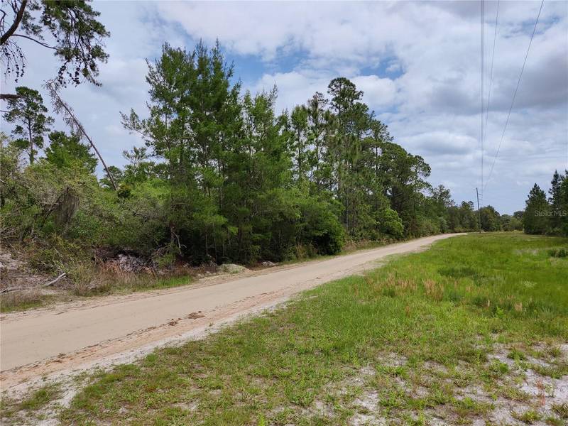 BUCK RUN DR #LOTS-10, 33, & 39, Paisley, FL 32767