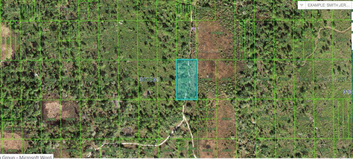 60 E ST, Lake Wales, FL 33898