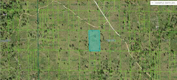 Lake Wales, FL 33898