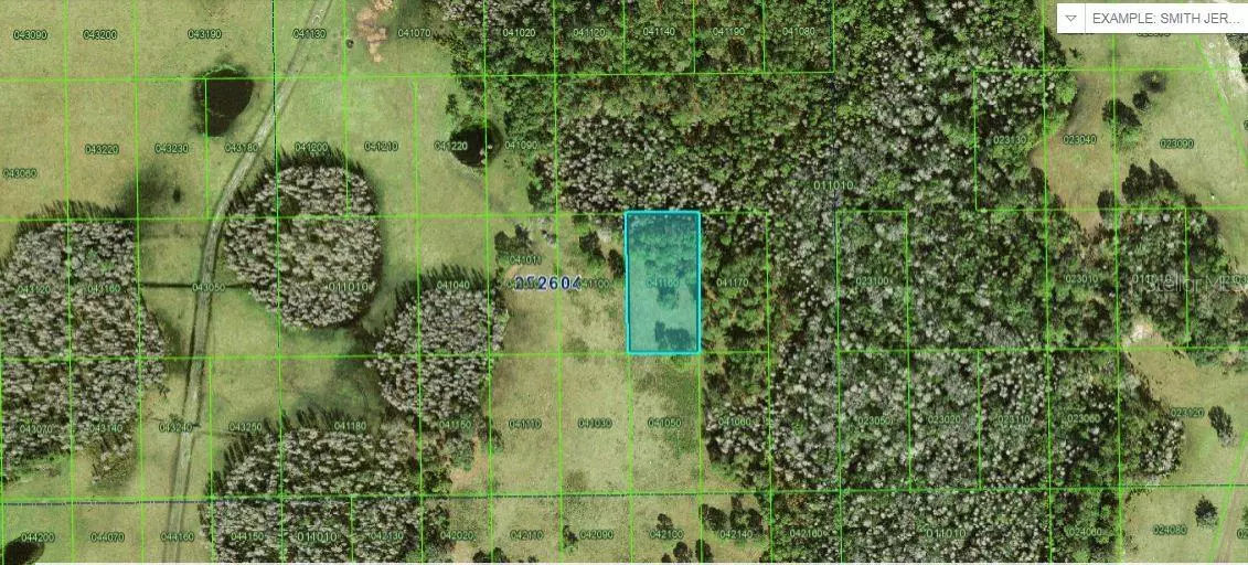 Polk City, FL 33868,COMMONWEALTH AVE N