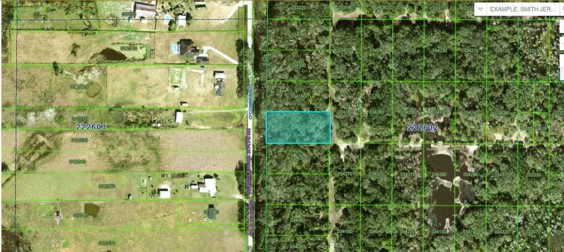 Kathleen, FL 33849,OCONNER RD