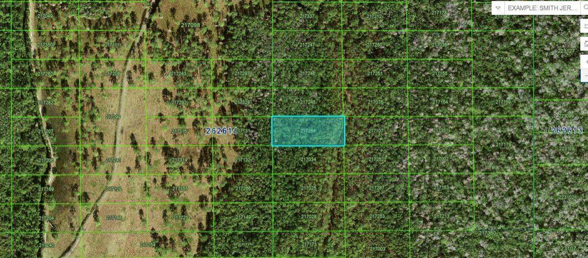 Polk City, FL 33868