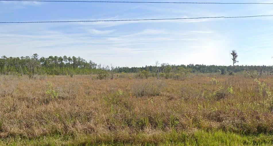 Polk City, FL 33868,000 OLD GRADE RD