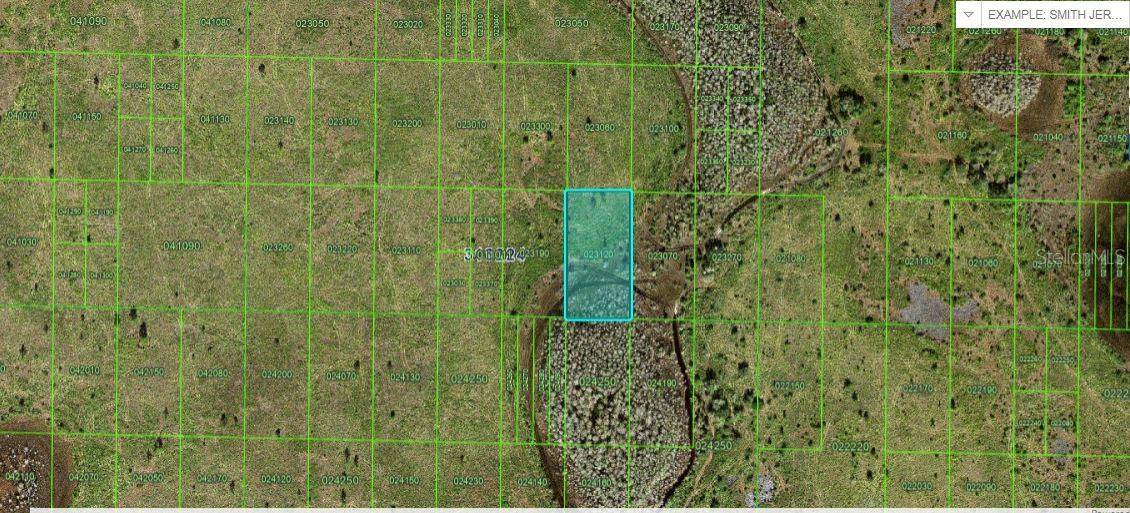 Lake Wales, FL 33898,RIVER RANCH BLVD