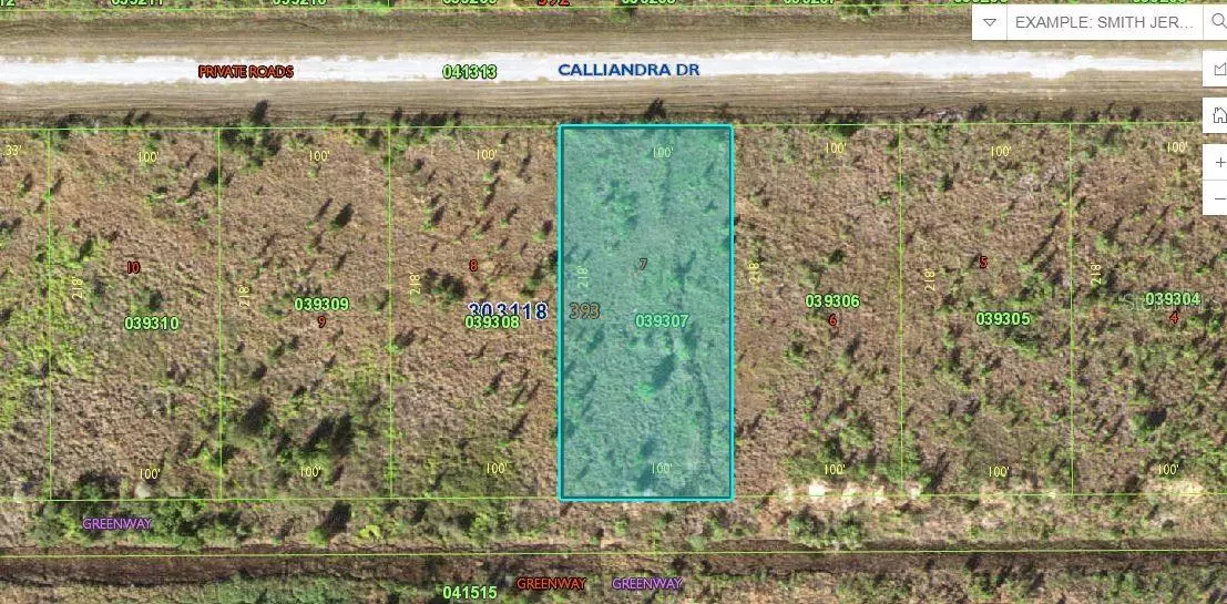 CALLIANDRA DR, Lake Wales, FL 33855