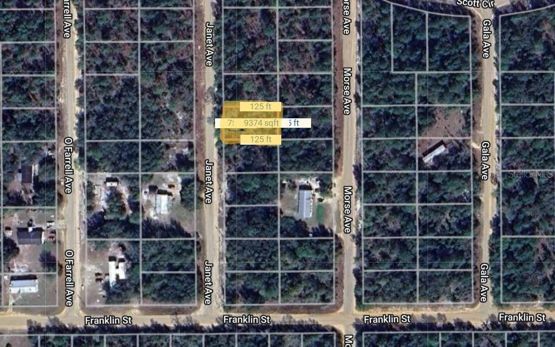 JANET AVE, Interlachen, FL 32148