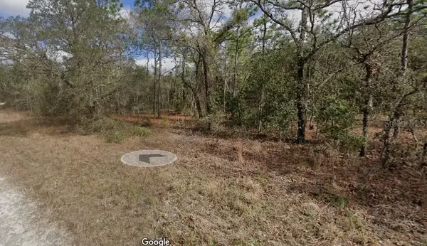 Brooksville, FL 34614,14356 EARLINE RD