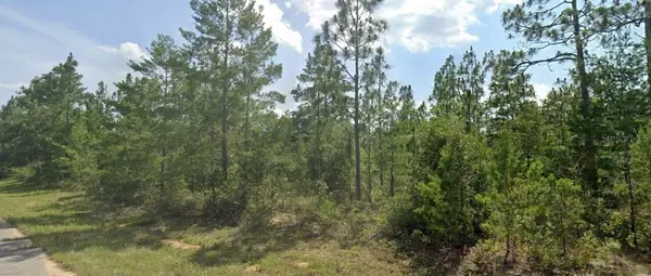 Chipley, FL 32428,NEWMOON DR