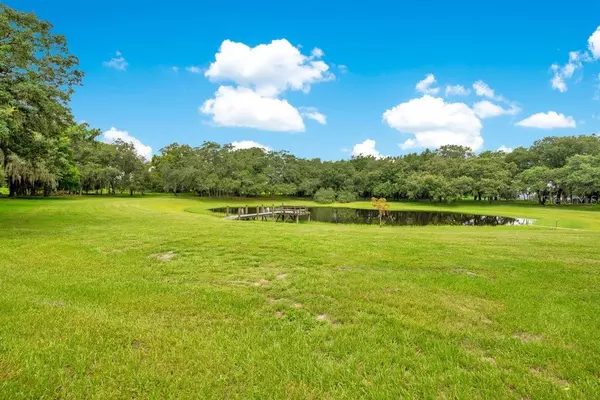 Winter Garden, FL 34787,12151 WALKER POND RD