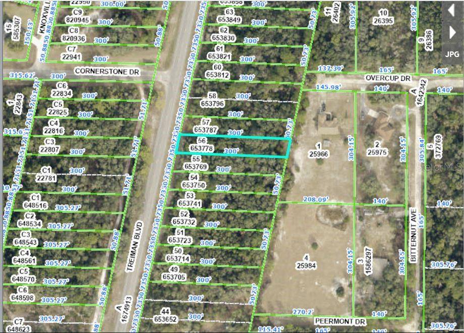 8086 TREIMAN BLVD BLVD, Webster, FL 33597