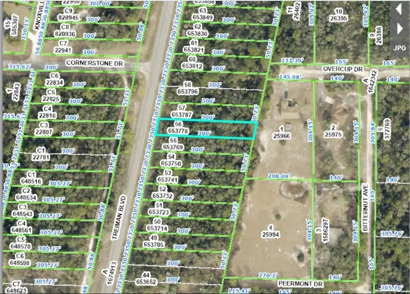 8086 TREIMAN BLVD BLVD, Webster, FL 33597