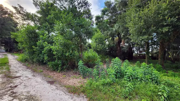 Mount Plymouth, FL 32776,Lot 7 & 8 ALGONQUIN AVE