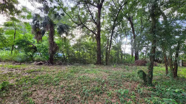 Mount Plymouth, FL 32776,Lot 7 & 8 ALGONQUIN AVE