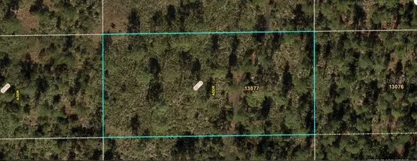 Orlando, FL 32820,DILL RD