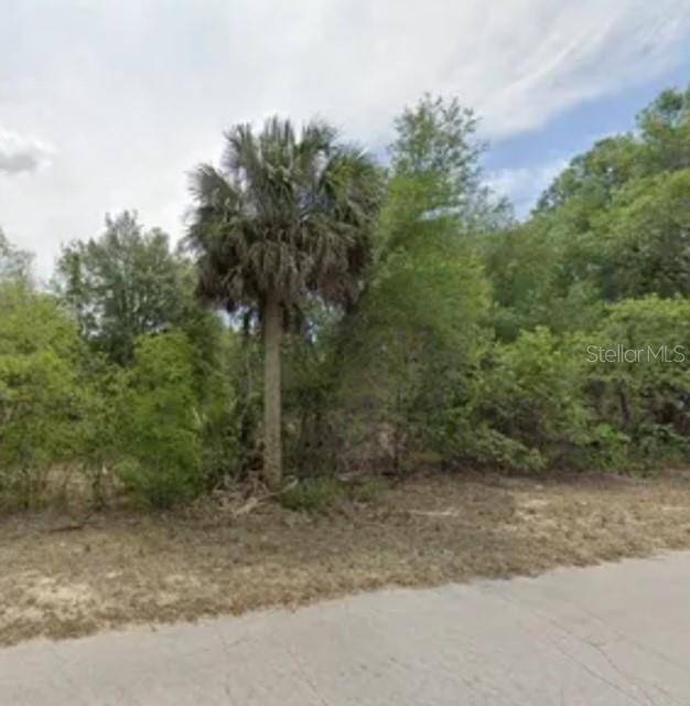 Dunnellon, FL 34433,11675 N CAPTIVA TER