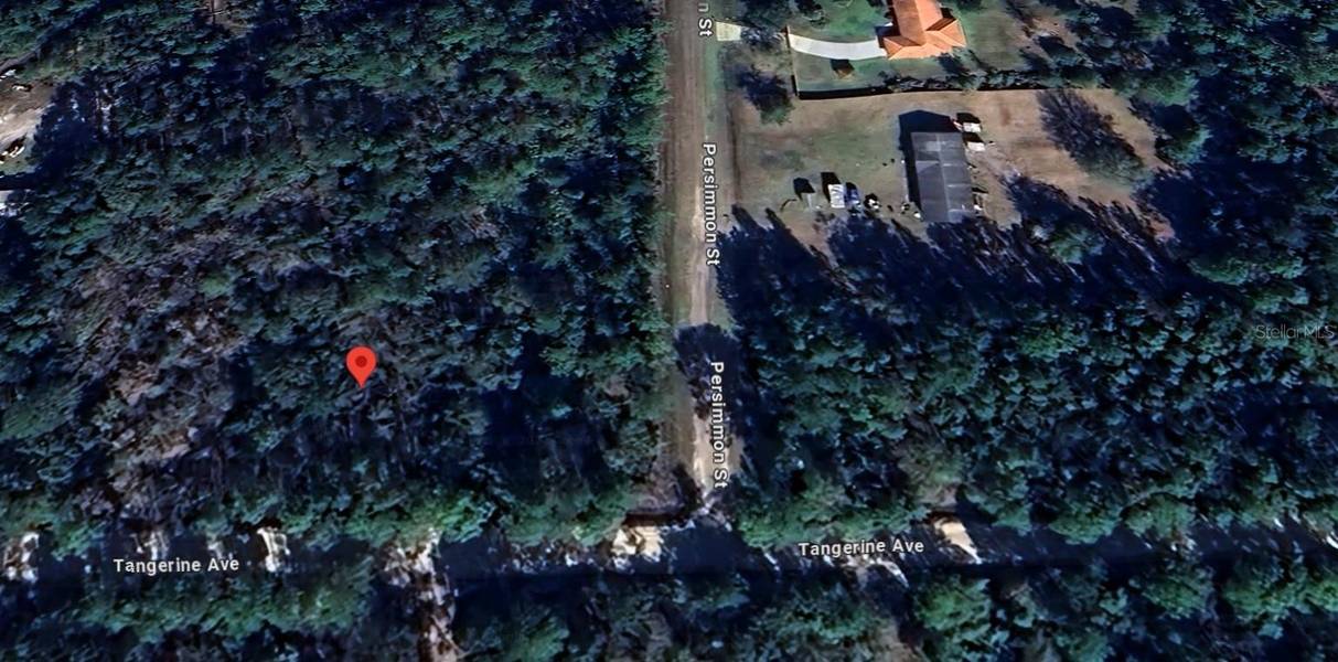 2956 PERSIMMON ST, Bunnell, FL 32110