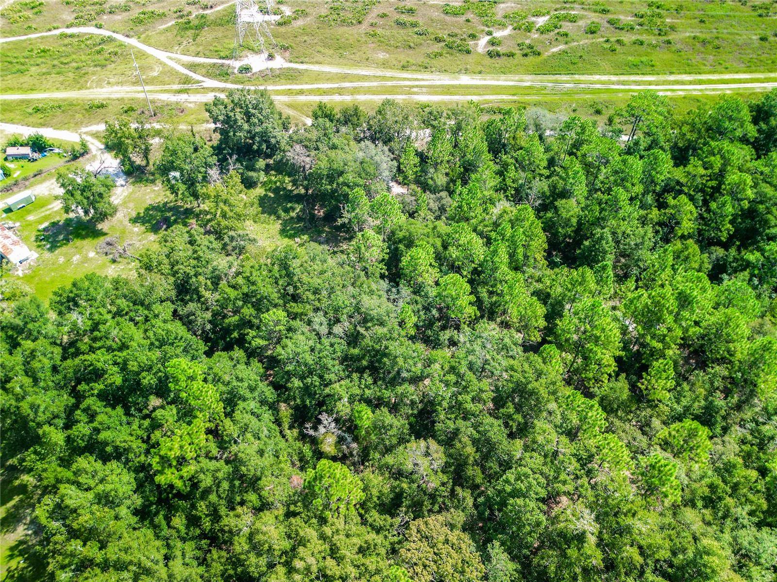 Crystal River, FL 34428,3128 N BERT TER